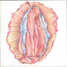 Mother