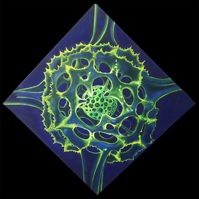 Radiolaria