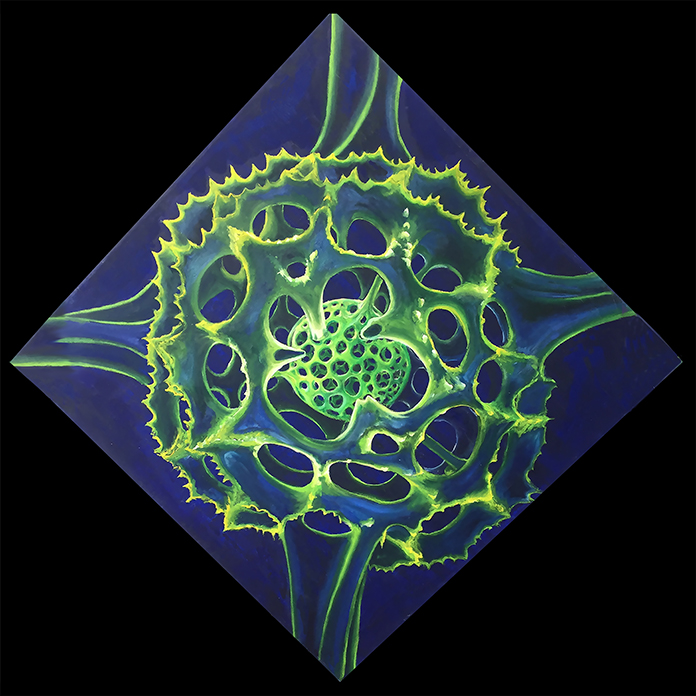 Radiolaria