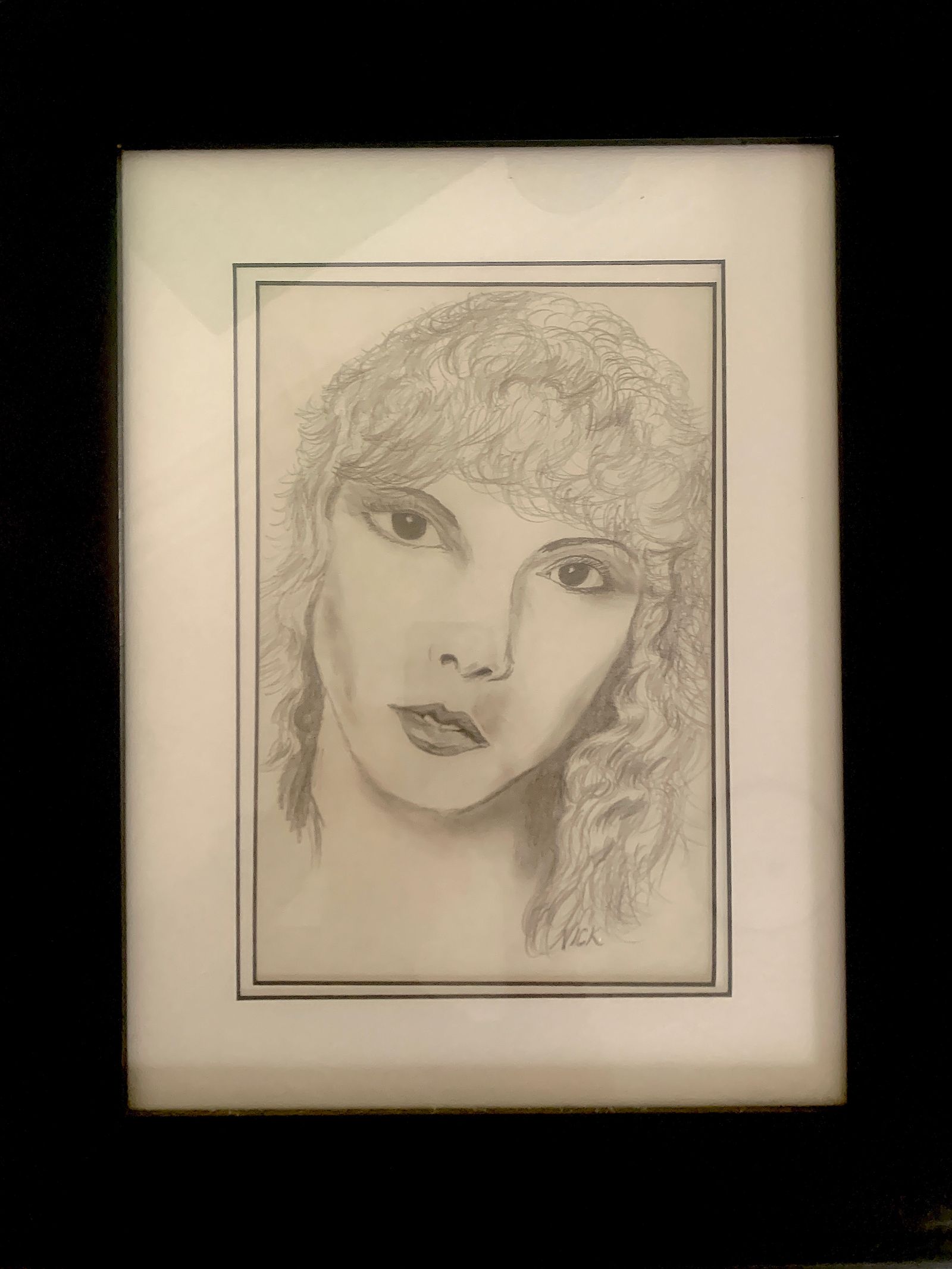 Stevie Nicks