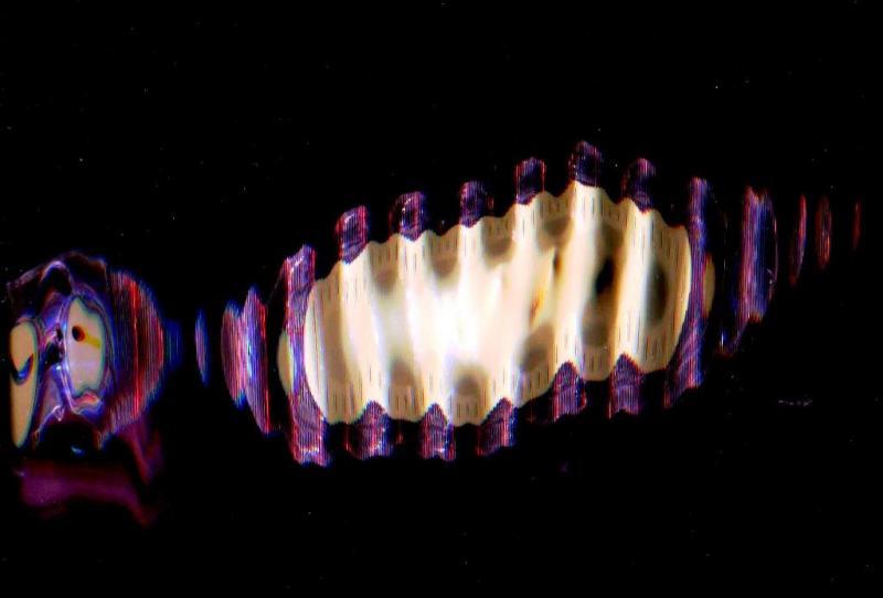 Hello