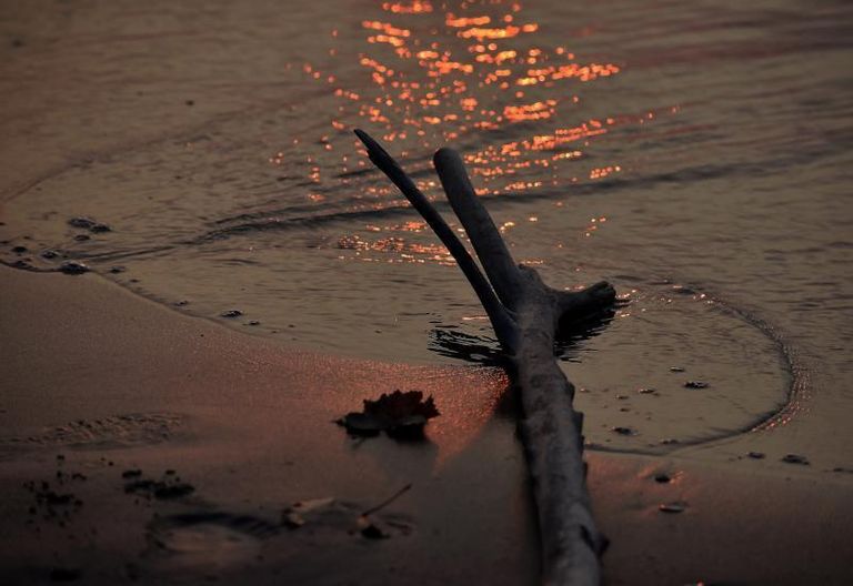 Drift radiance upon the shore