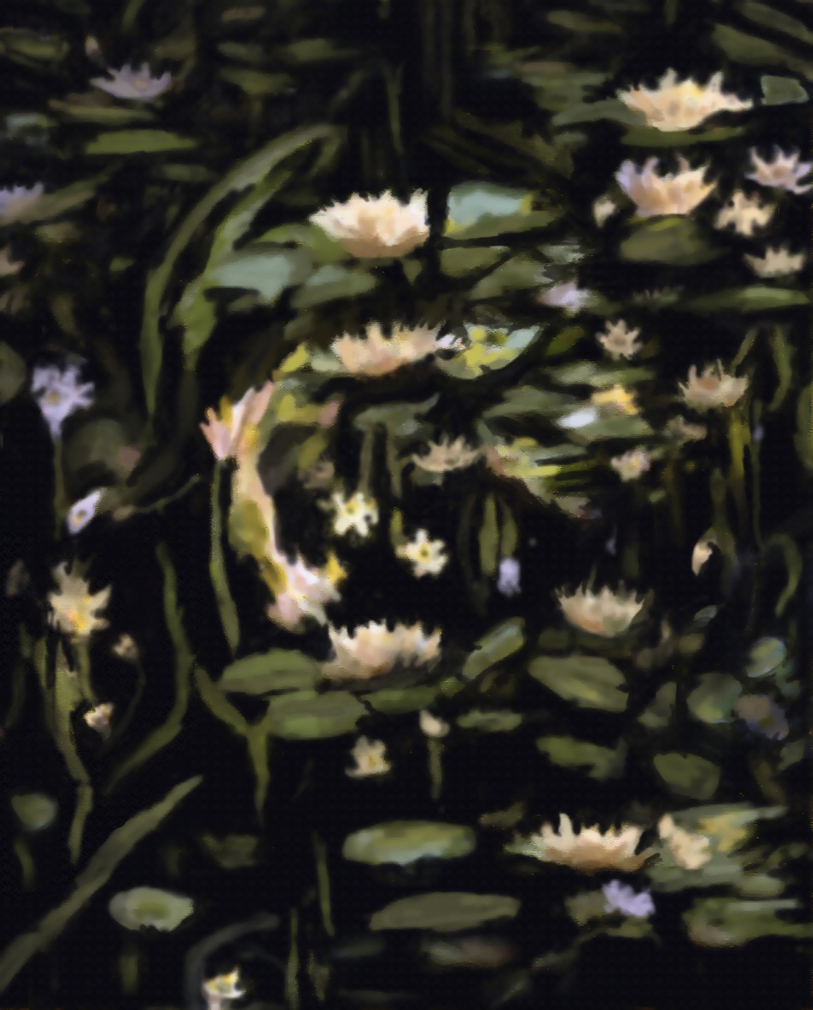 In The Light of The Lillies