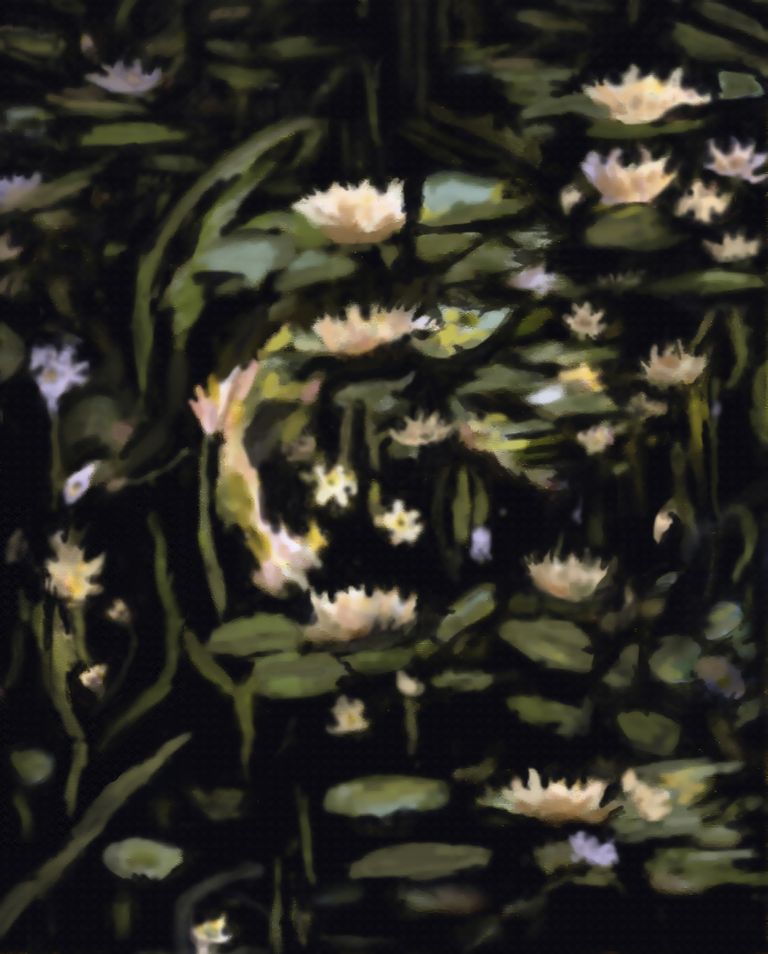 In The Light of The Lillies