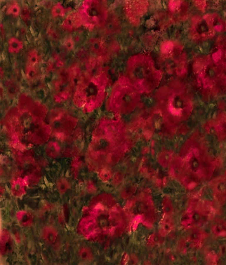 Scarlet Embrace