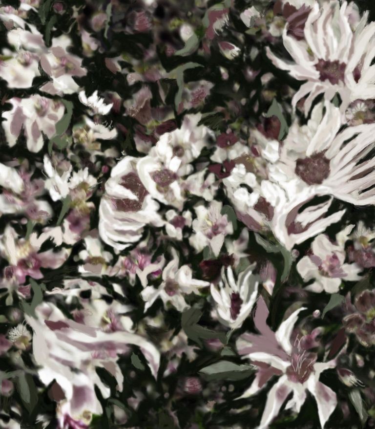 Symphony of the Orchids