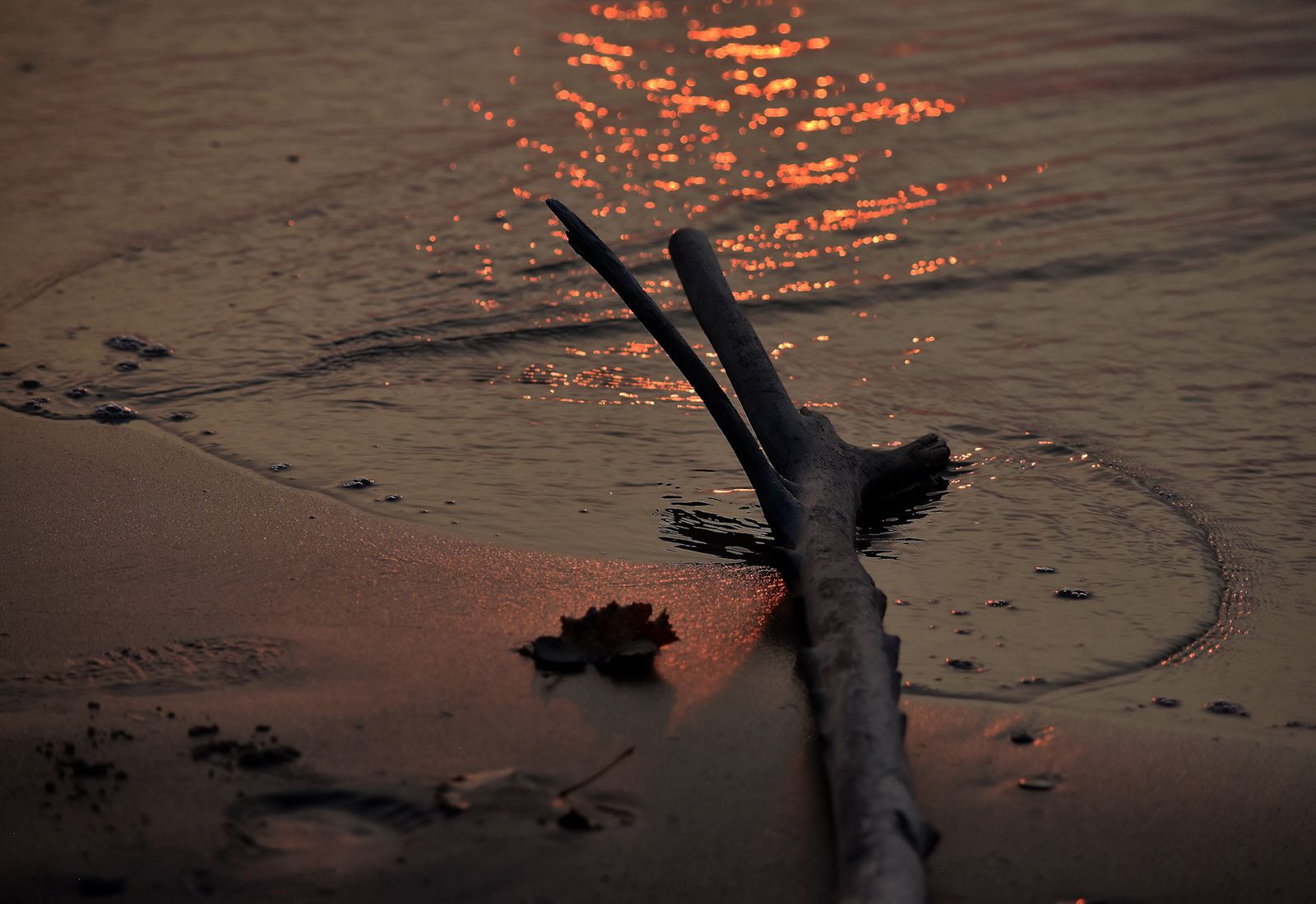 Drift, Radiance Upon The shore