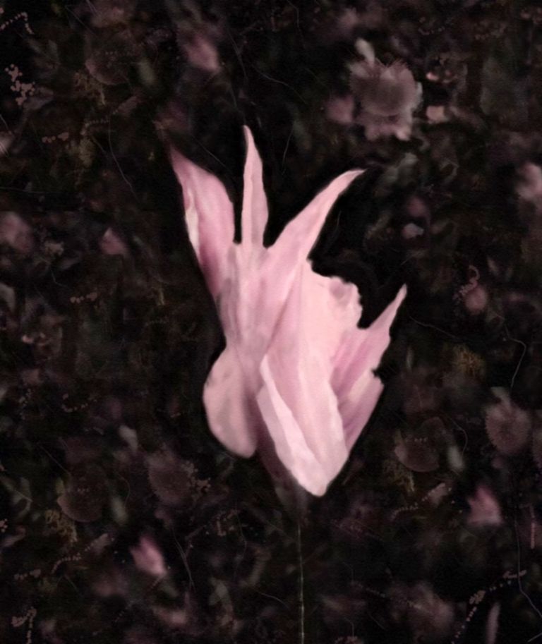 Petals of Resilience