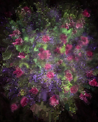 Cycle of life, ''Bloom ''