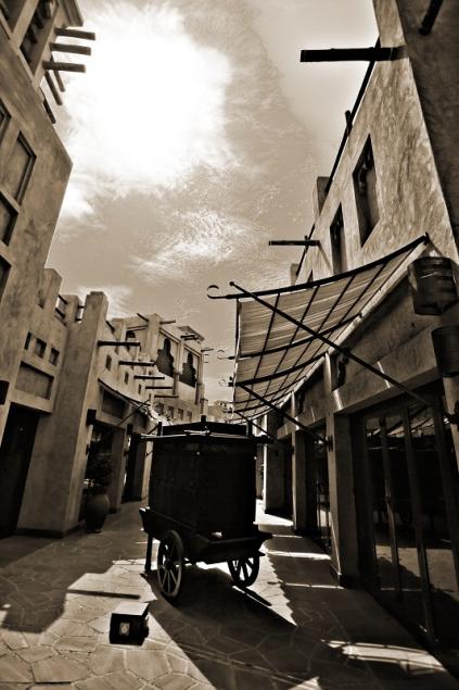 Summer Shadows1
