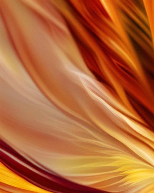 Golden breeze