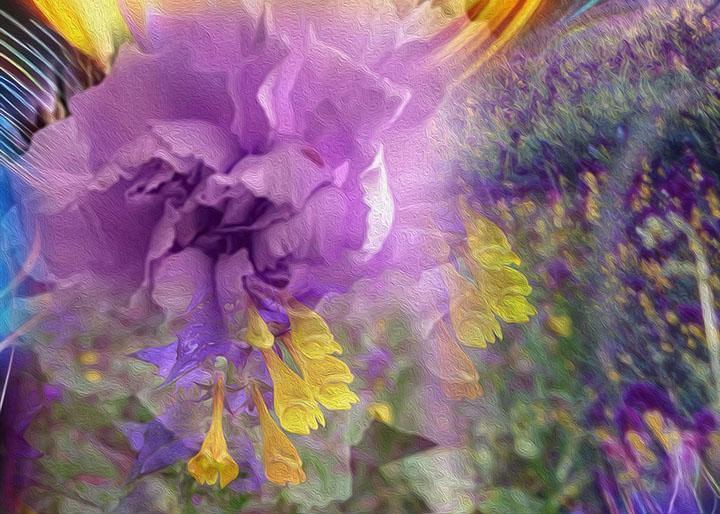 Meadow in a memory