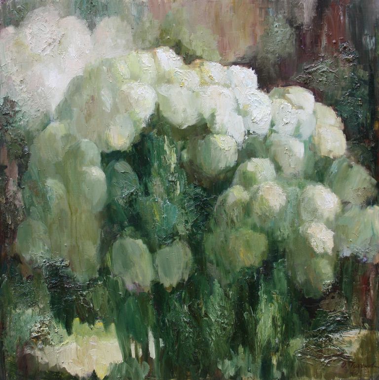 Hydrangea