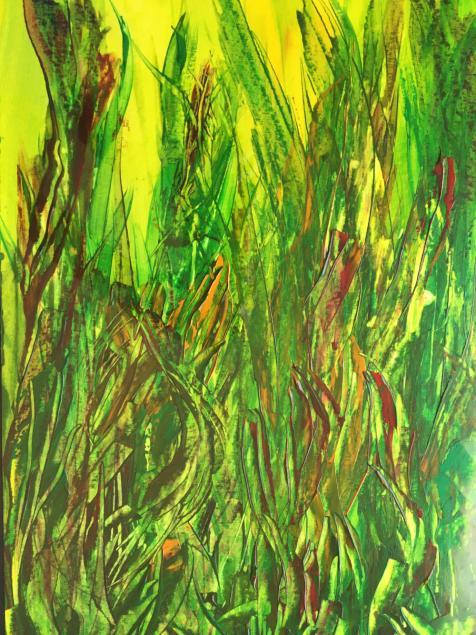 Grass