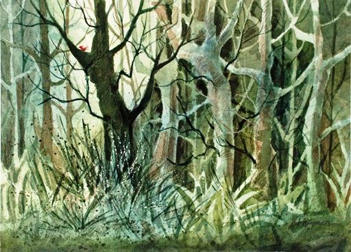A Lightinthe Forest