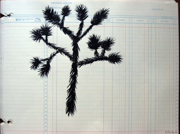 One Skinny Joshua Tree