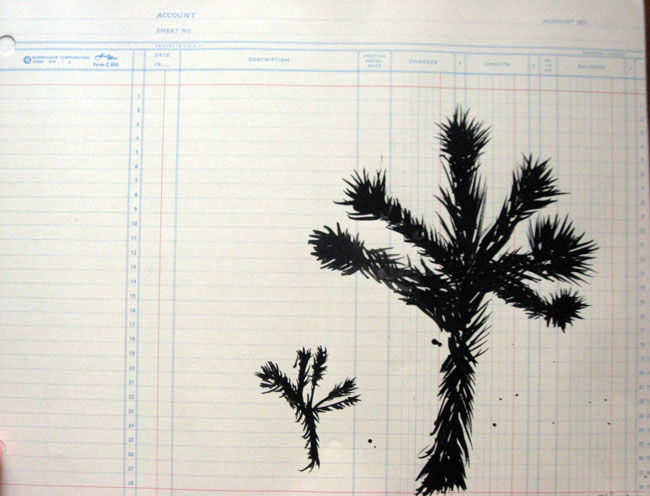 One Small One Bitty Joshua Tree