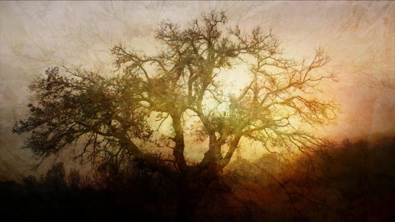 Peter Petersen