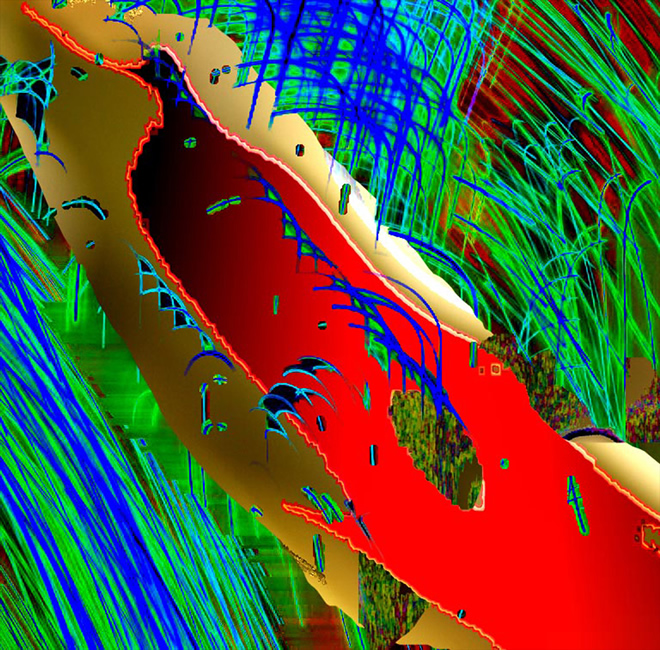 Red Hot Chili Pepper