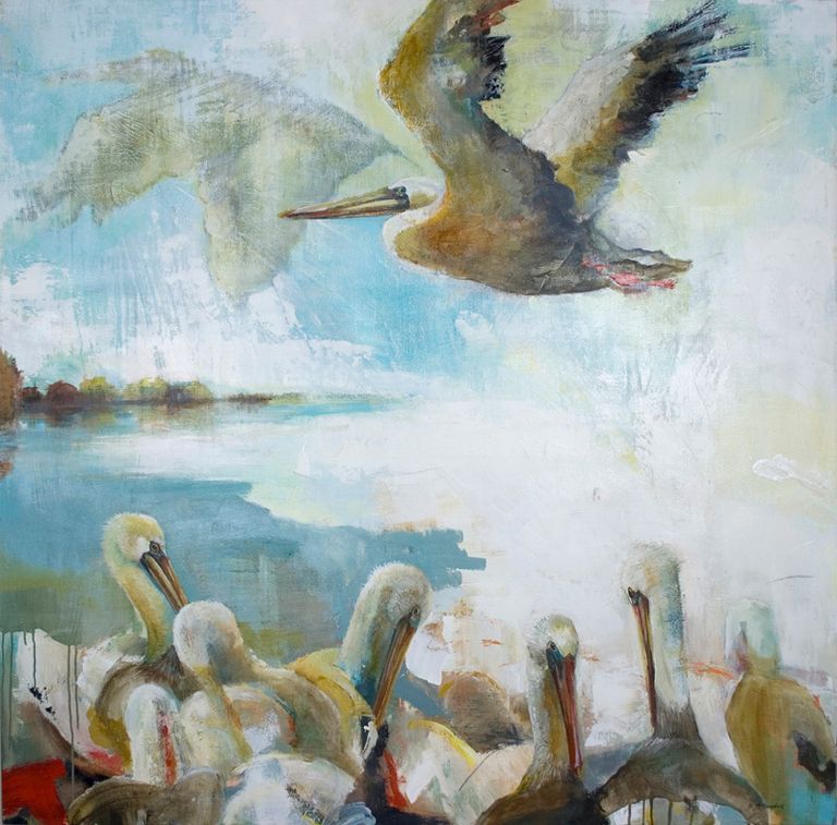 Brown Pelicans