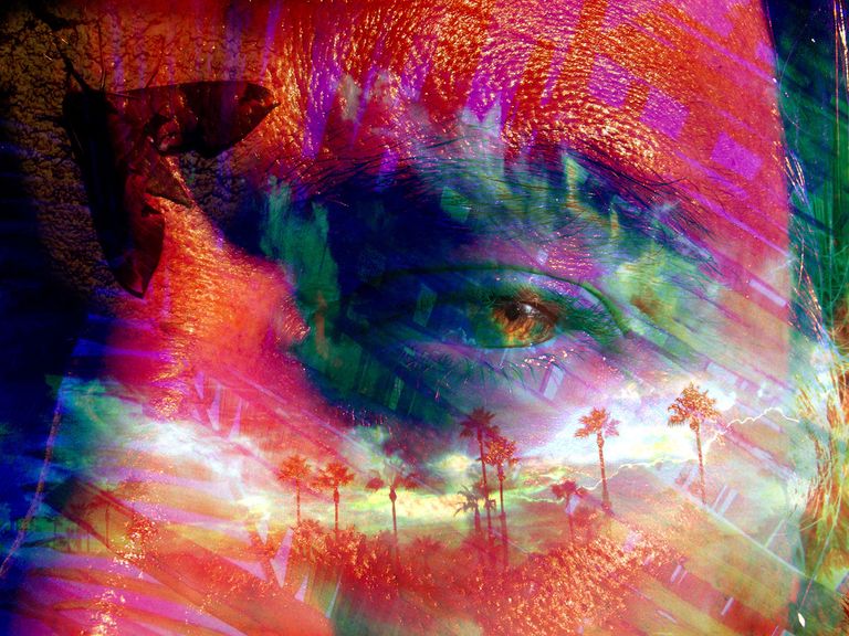 Jungle