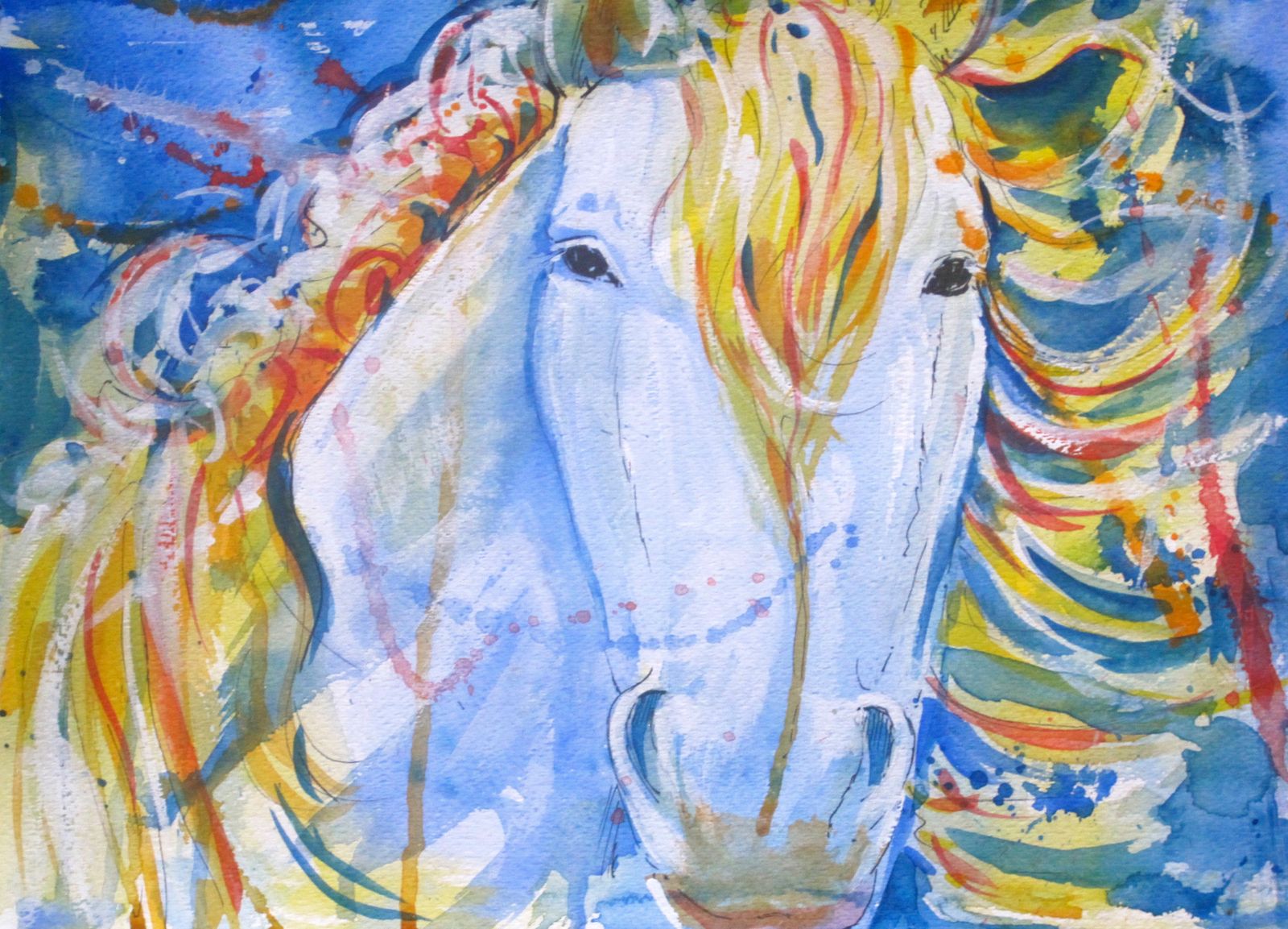 white horse