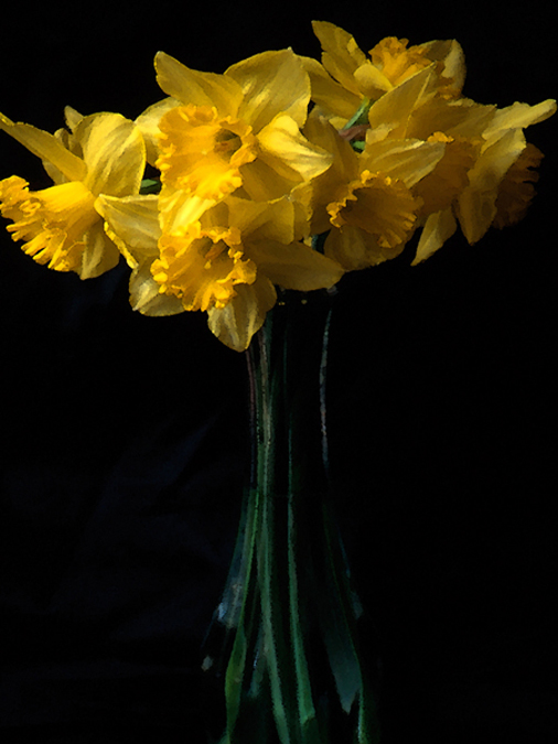 Daffodils in Watercolor