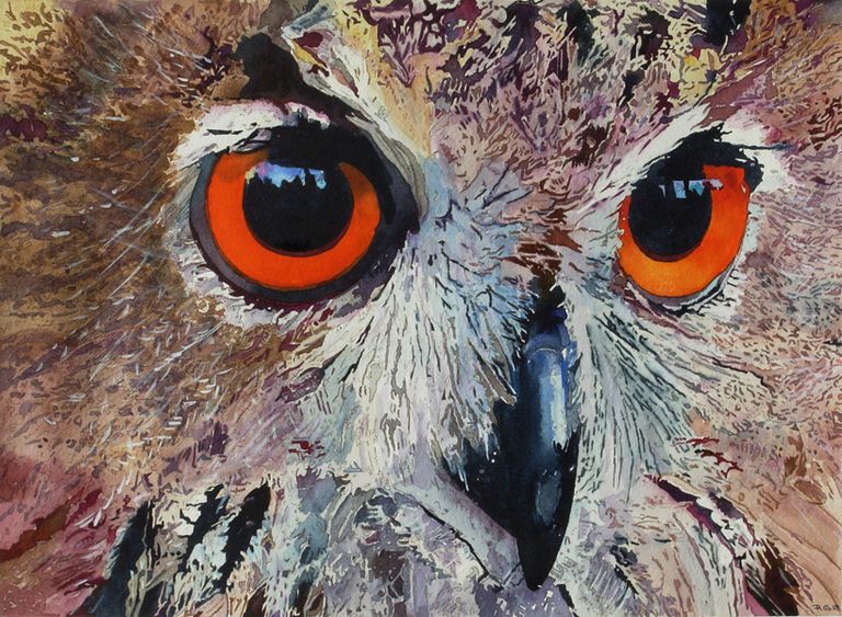 Owl