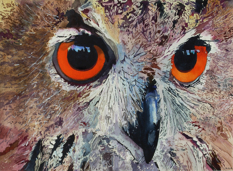 Owl