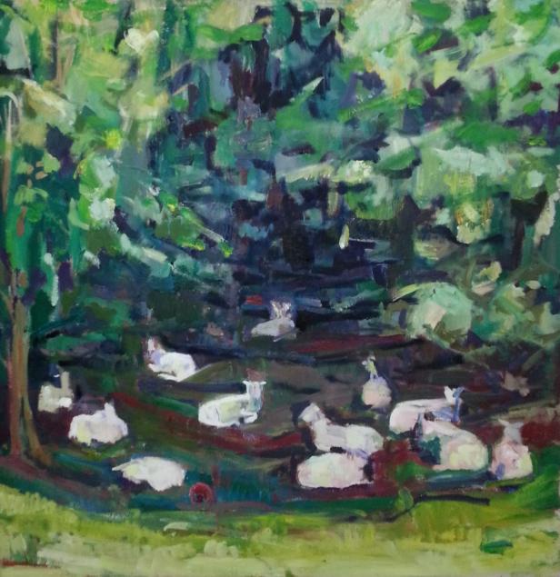 Sheep
