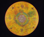 Yellow cosmos
