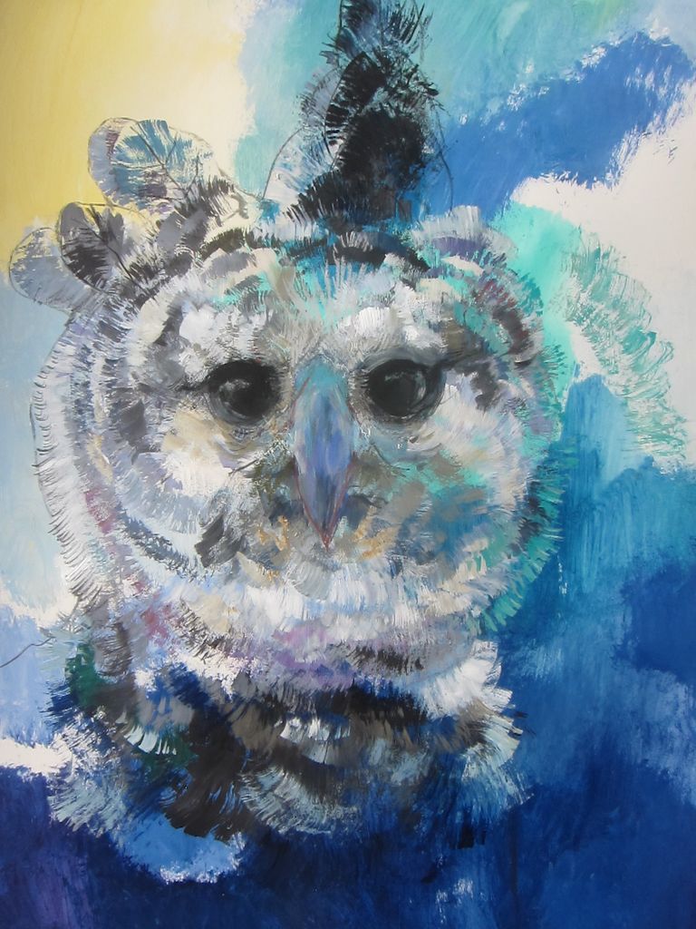The Wise Harpy Eagle