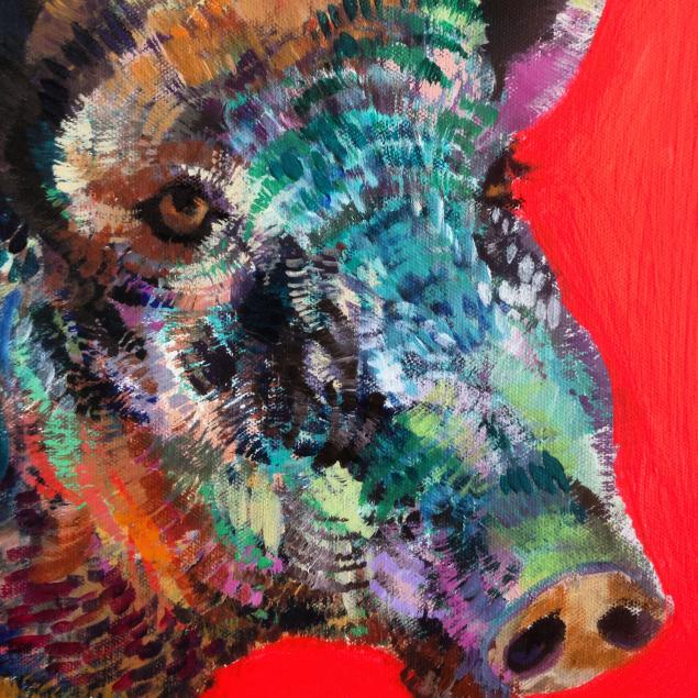 Perplexed Wild Boar