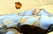 Stoneflow