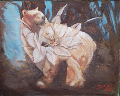 Spirit bear