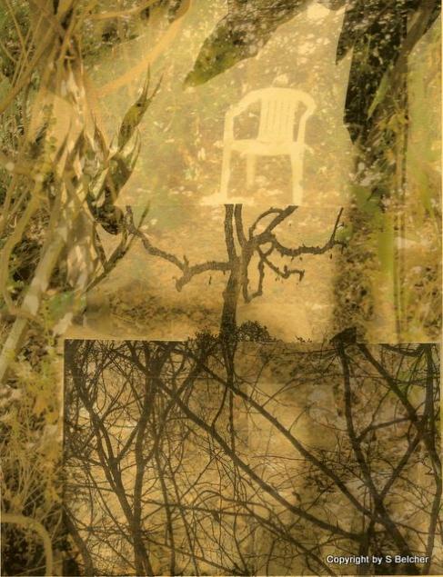 Taking Root