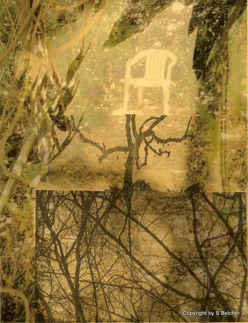 Taking Root