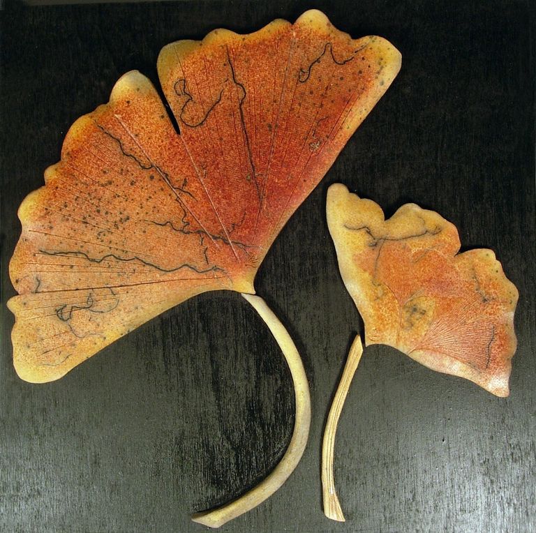 Horsehair Gingko Leaves