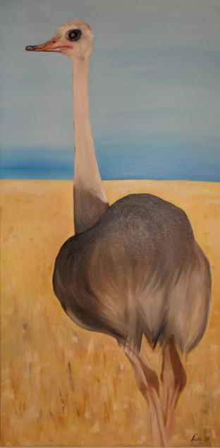 Ostrich