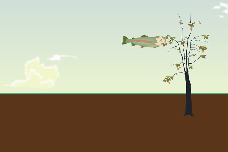 Tlloyd Teach Fish