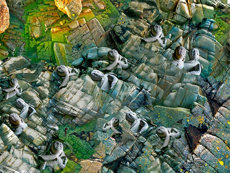 Land of Granite