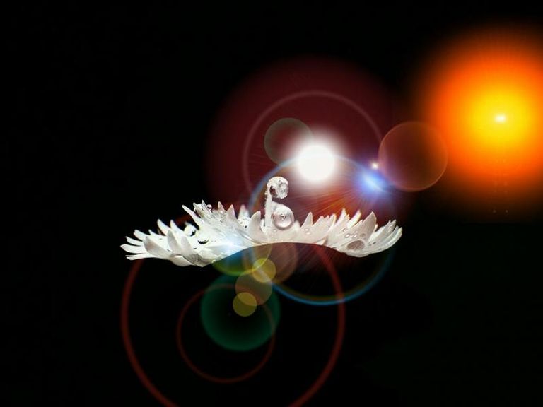 Flower Water Light