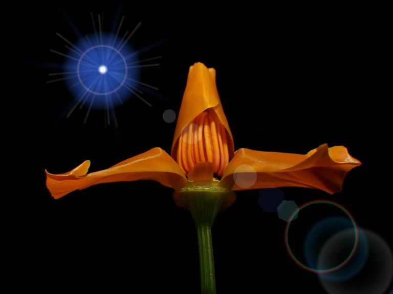 Smooth as Orange