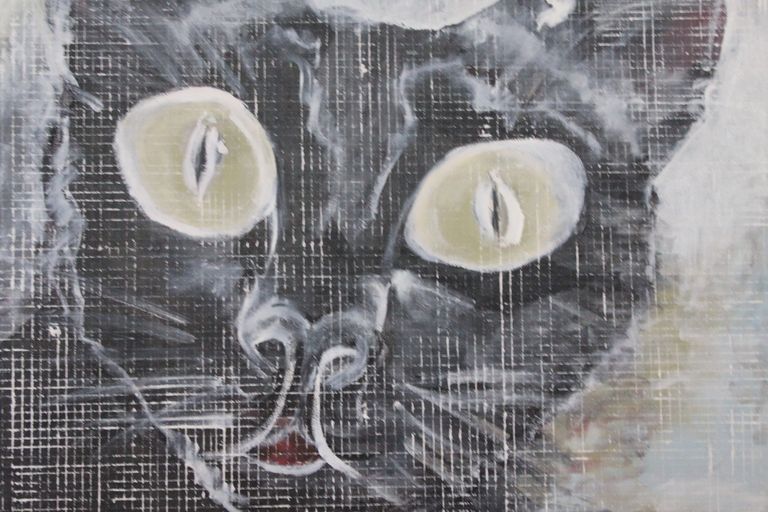 The Cat