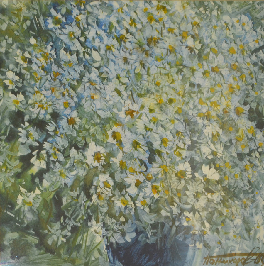 Daisies