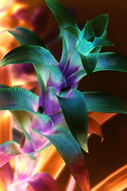 Color play