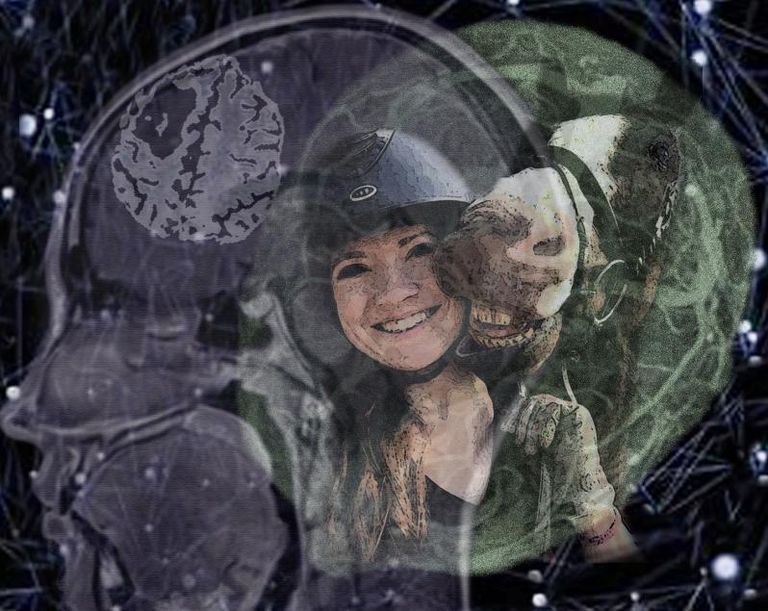 Kendell brain 3