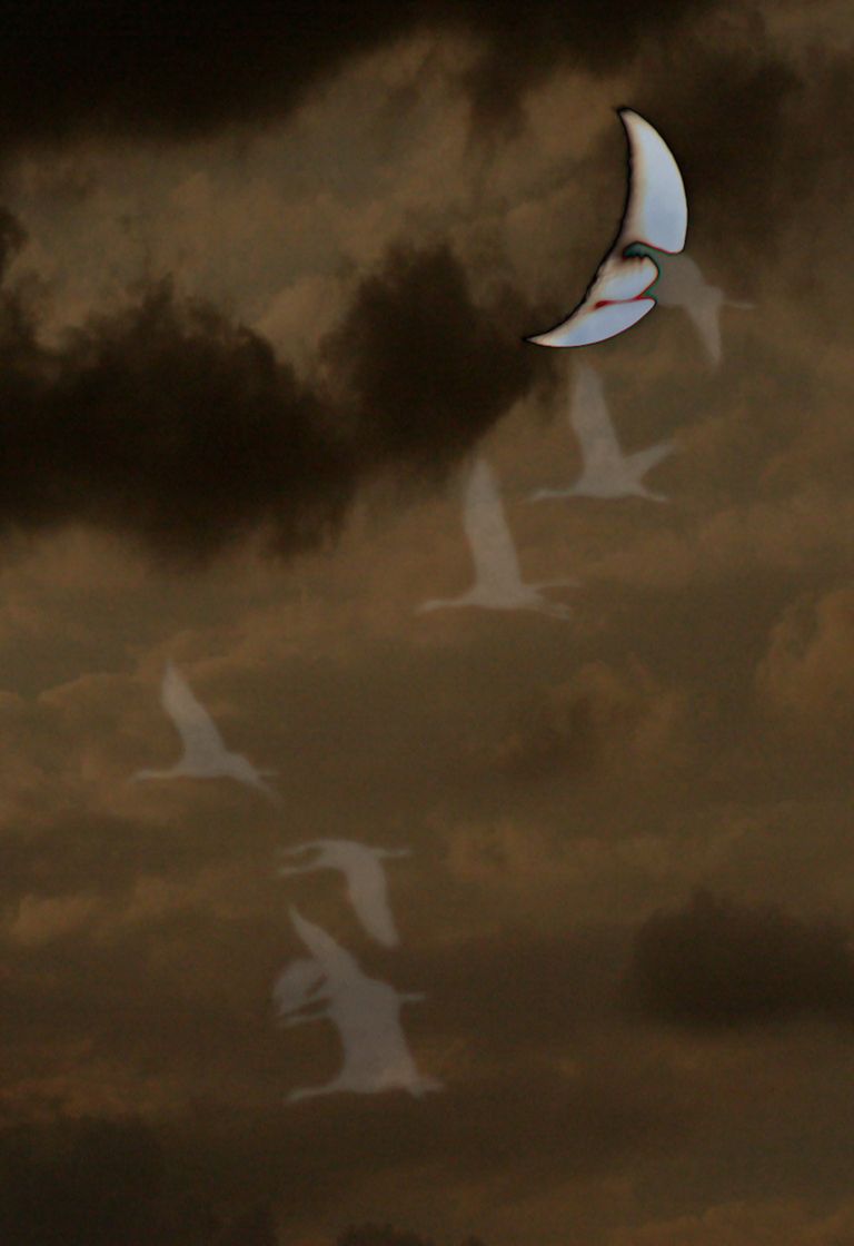 Ahula 8