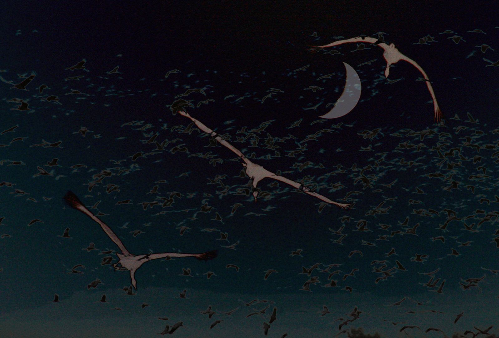 Through the Night