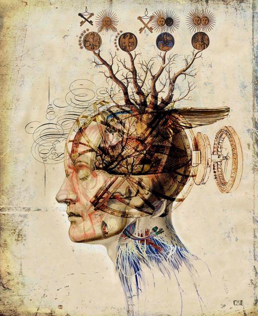 The Lucid Dream